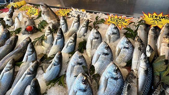 Palamutta da hile! Farkları tek tek sıraladık: Balıkçılar vatandaşı kandırıyor! 2